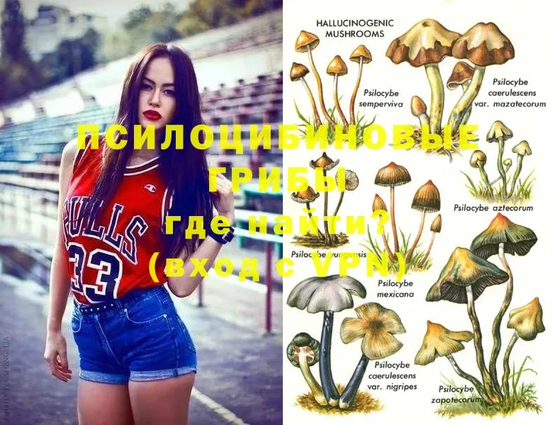 shop наркотические препараты  хочу   Любань  Псилоцибиновые грибы MAGIC MUSHROOMS 